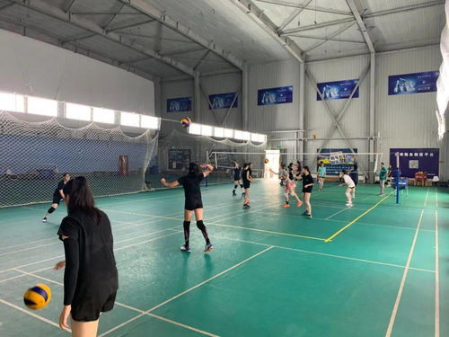 豐臺(tái)區(qū)青少年運(yùn)動(dòng)隊(duì)暑期集訓(xùn)圓滿收官，項(xiàng)目經(jīng)營助力體育人才儲(chǔ)備